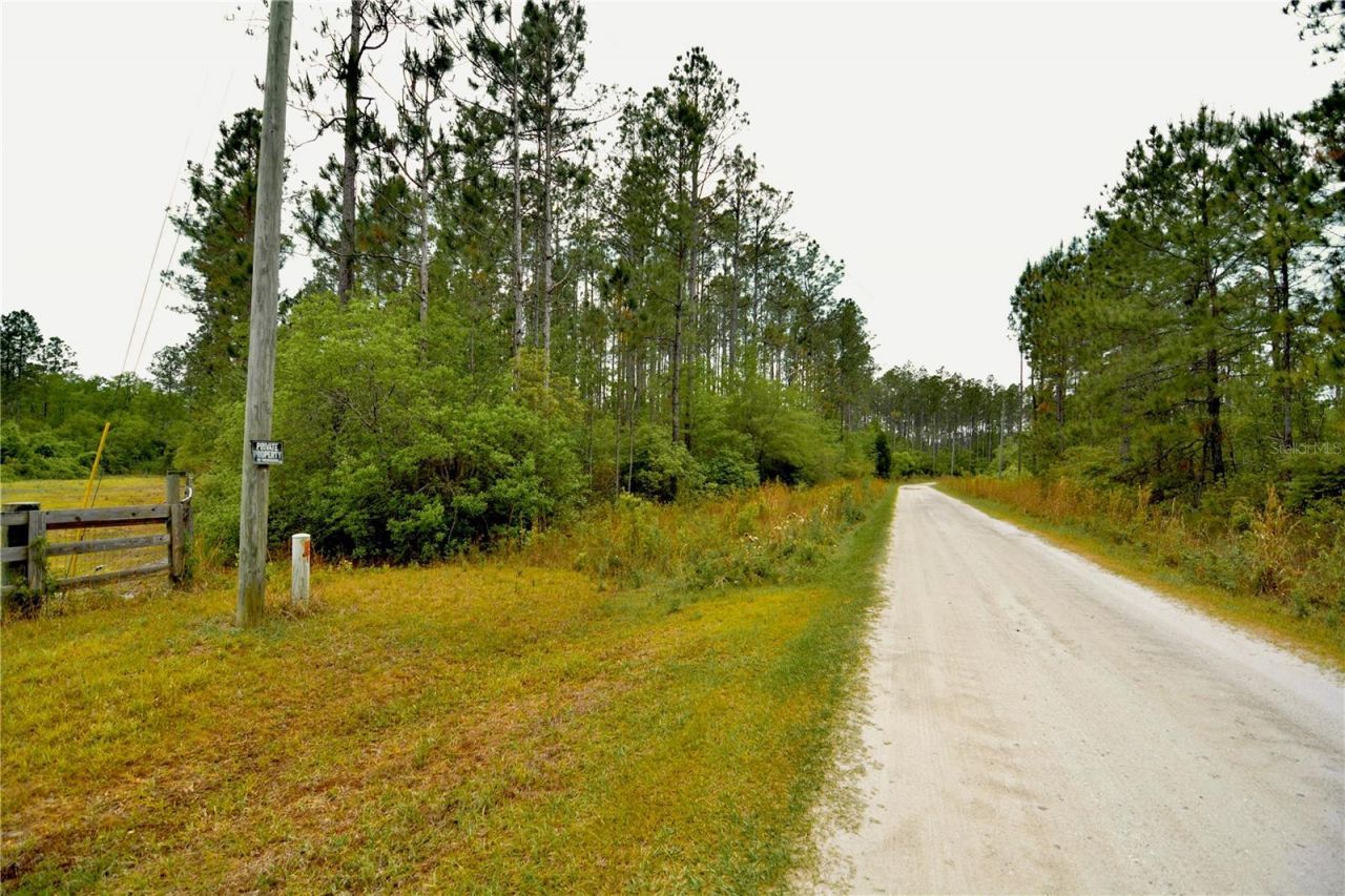 Sweet Gum Road , Glen Saint Mary, FL 32040 Photo
