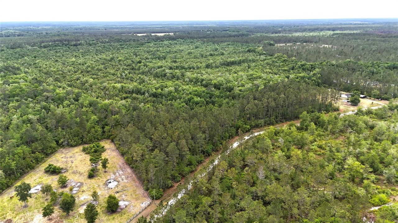 Sweet Gum Road , Glen Saint Mary, FL 32040 Photo