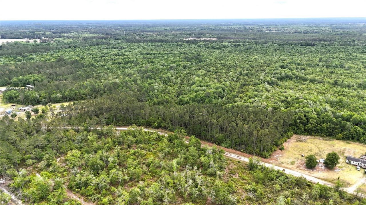 Sweet Gum Road , Glen Saint Mary, FL 32040 Photo