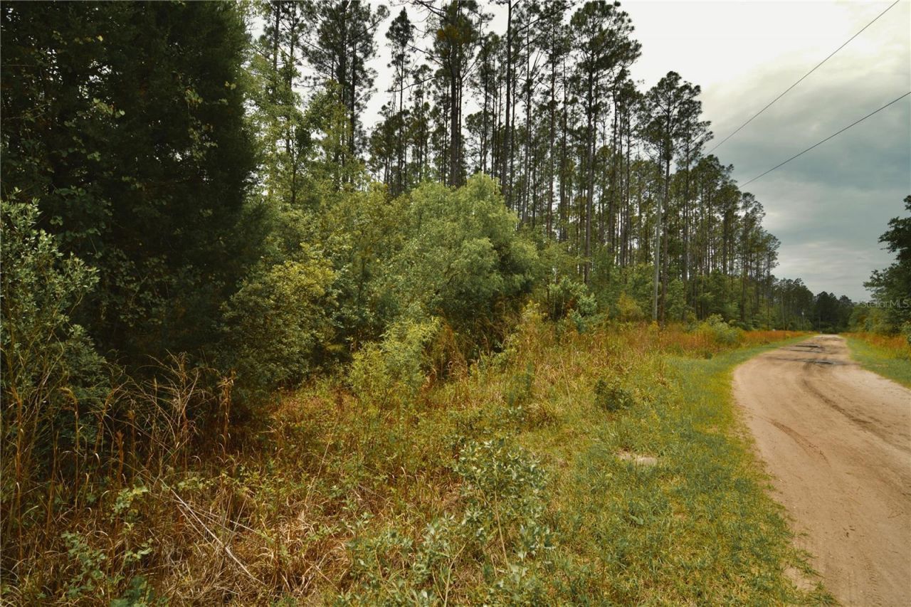 Sweet Gum Road , Glen Saint Mary, FL 32040 Photo