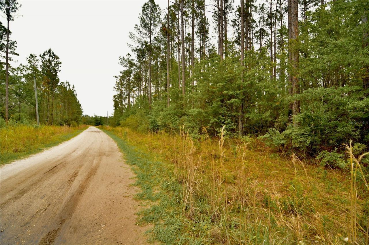 Sweet Gum Road , Glen Saint Mary, FL 32040 Photo