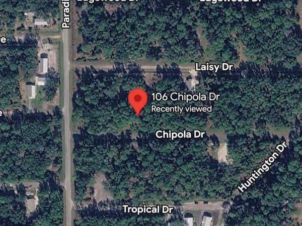 106 CHIPOLA DRIVE , GEORGETOWN, FL 32139