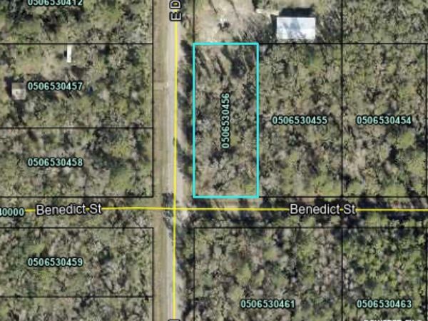 4790 BENEDICT STREET , HASTINGS, FL 32145