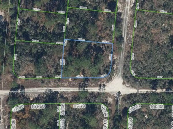 300 RAINBOW DRIVE , LAKE PLACID, FL 33852