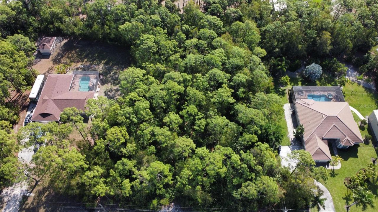 25461 Luci Drive , Bonita Springs, FL 34135 Photo