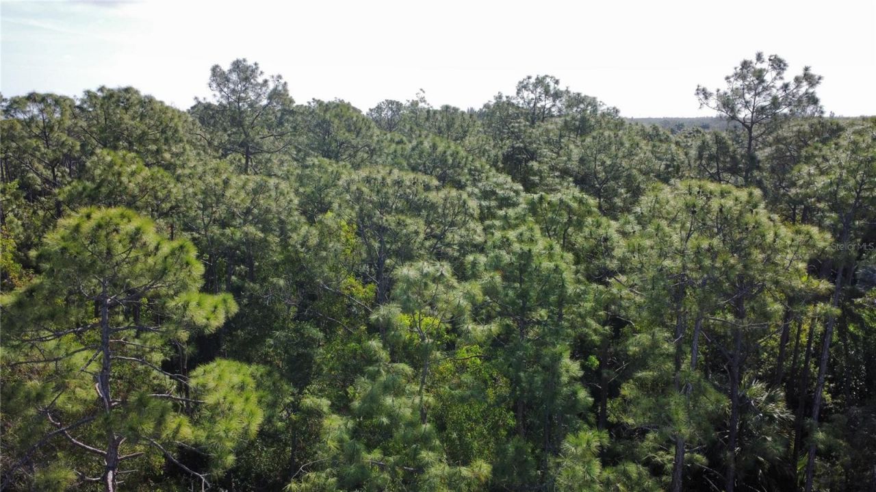 25461 Luci Drive , Bonita Springs, FL 34135 Photo
