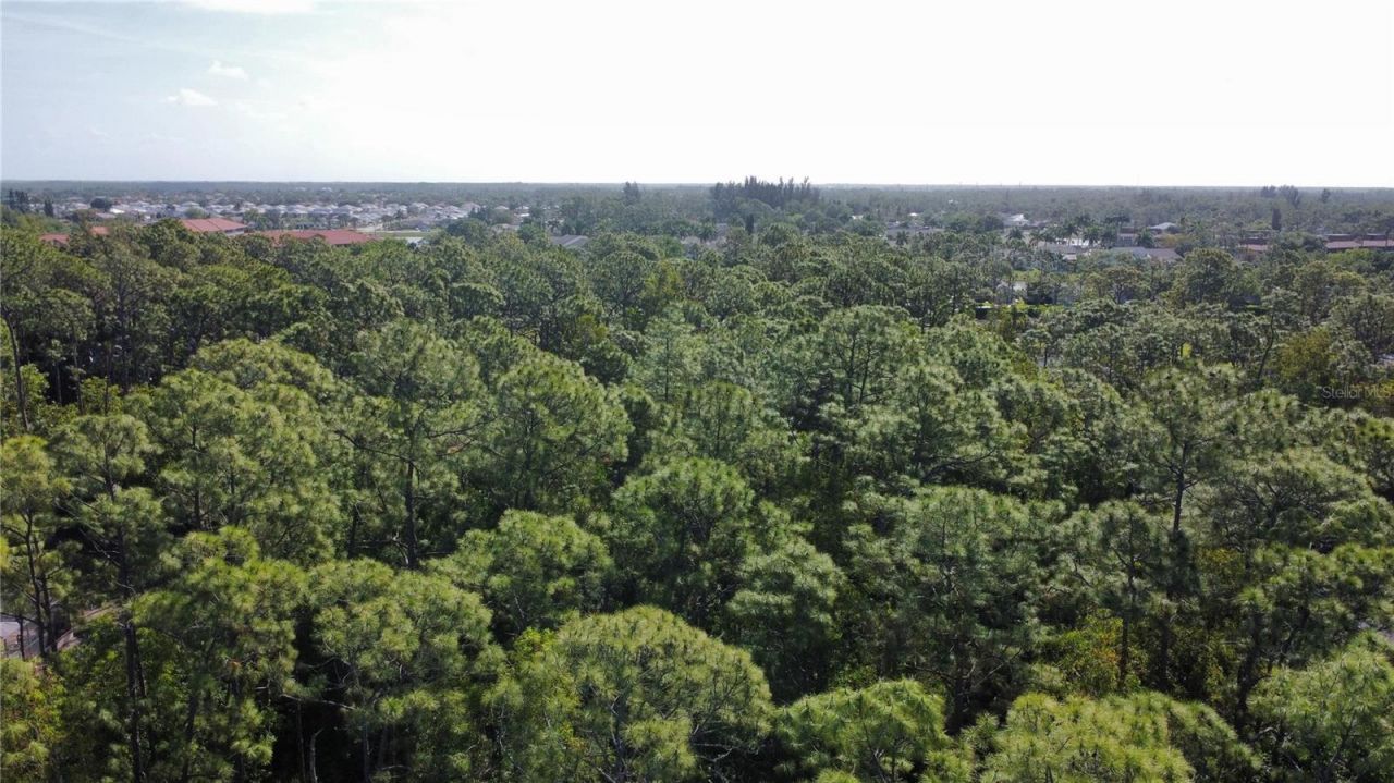 25461 Luci Drive , Bonita Springs, FL 34135 Photo