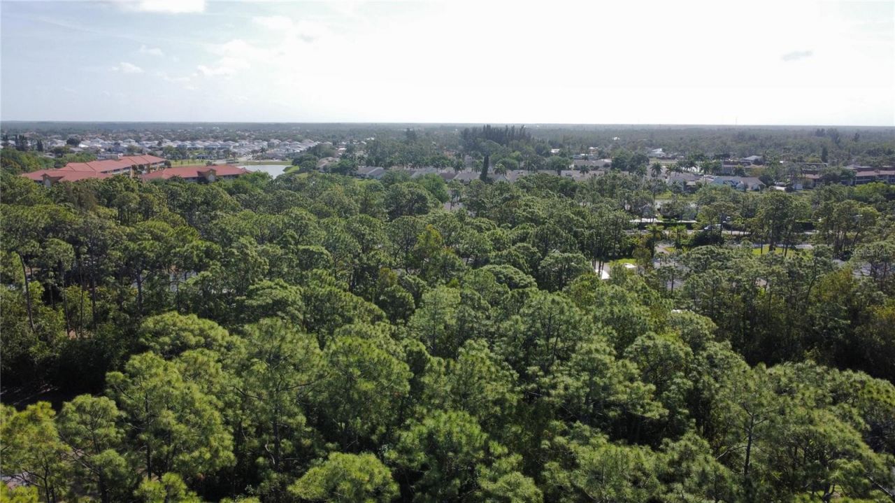 25461 Luci Drive , Bonita Springs, FL 34135 Photo