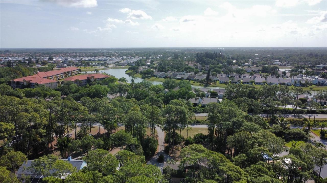 25461 Luci Drive , Bonita Springs, FL 34135 Photo