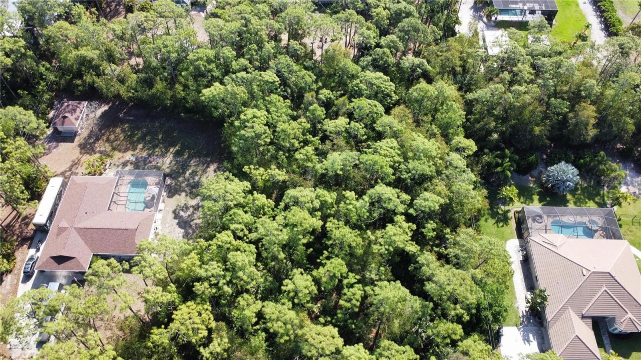 25461 Luci Drive , Bonita Springs, FL 34135 Photo