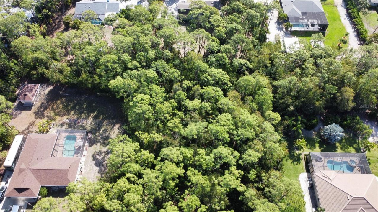 25461 Luci Drive , Bonita Springs, FL 34135 Photo
