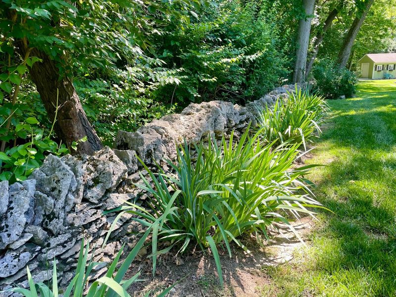 250 Franklin Street , Dublin, OH 43017 Photo 7