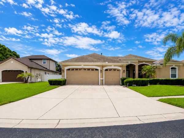 1341 SALMONBERRY STREET , WESLEY CHAPEL, FL 33543