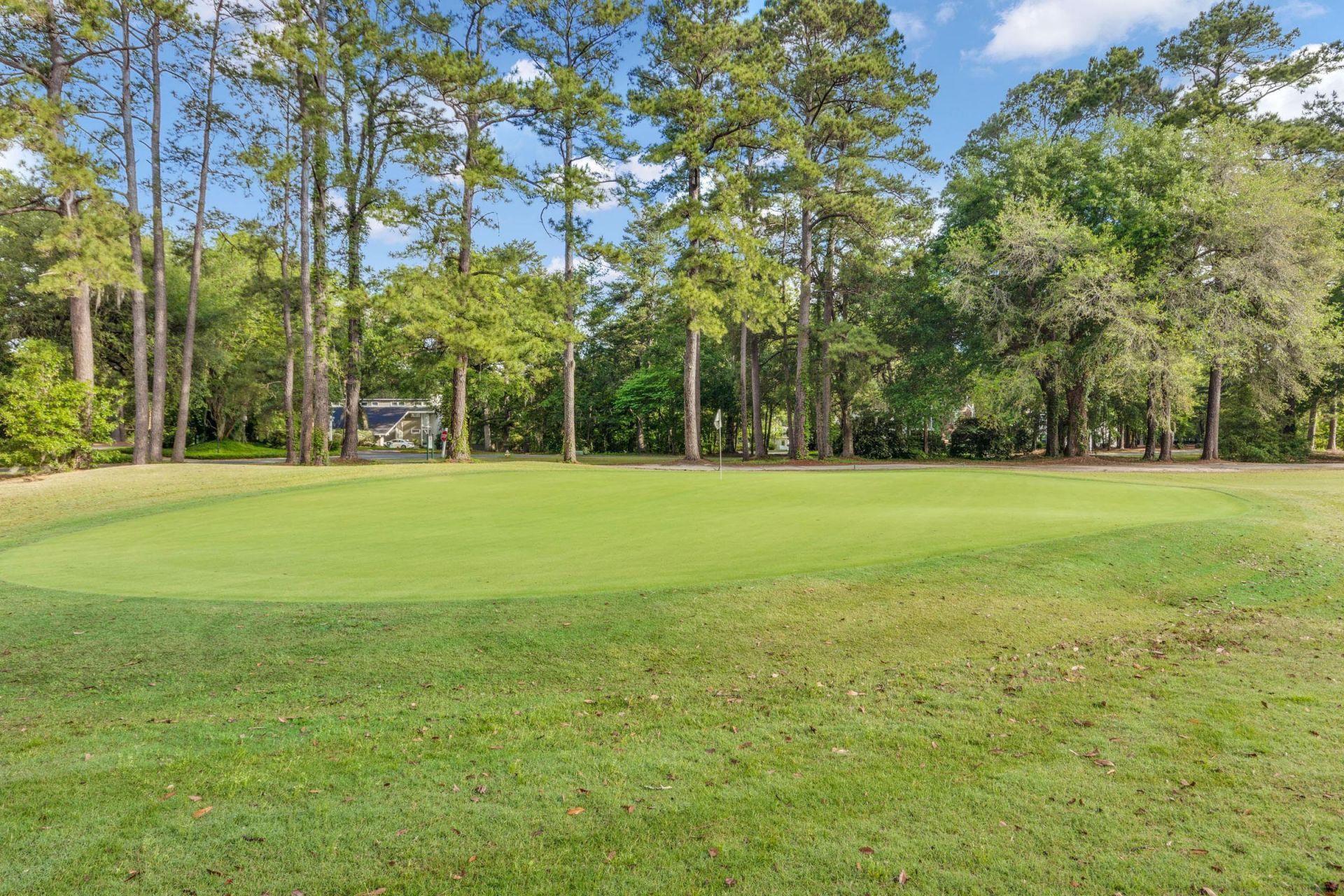 106 Back Tee Circle Photo 57