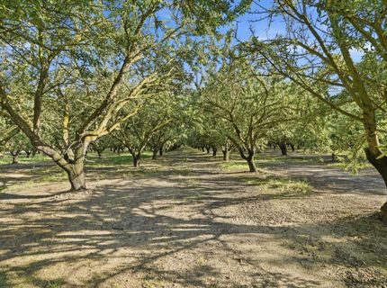 18401 S Carrolton, Ripon, CA 95366 Photo