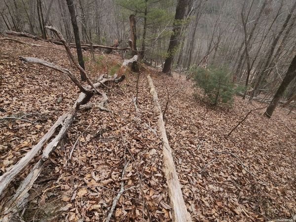 LOT #14 Little Eagle Mtn Mountain, Clarkesville, GA 30523