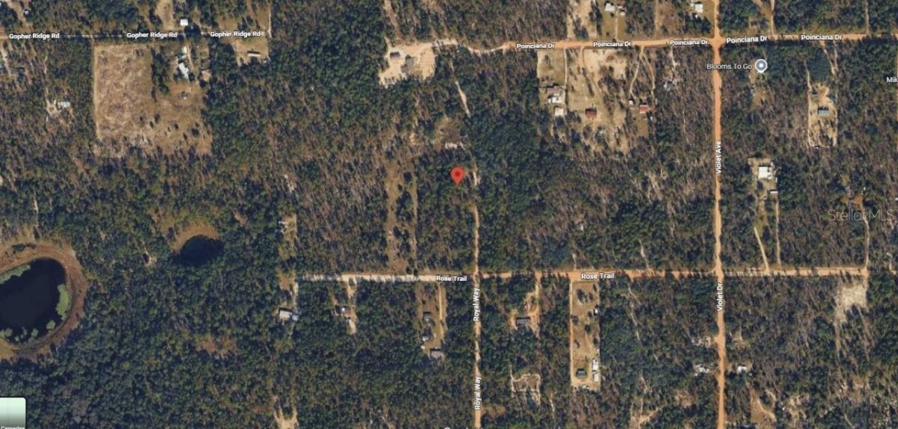 Royal Way, Interlachen, FL 32148 Photo