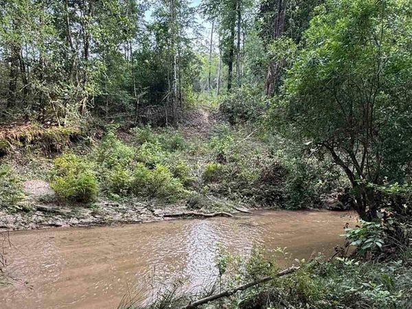 0100 Mineral Springs Rd, Jay, FL 32565
