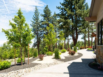 256 Forest Hill Way, Gardnerville, NV 89460 Photo