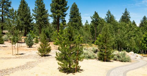 256 Forest Hill Way, Gardnerville, NV 89460 Photo
