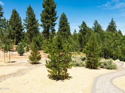 256 Forest Hill Way, Gardnerville, NV 89460 Photo