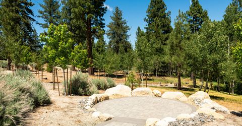 256 Forest Hill Way, Gardnerville, NV 89460 Photo