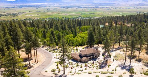 256 Forest Hill Way, Gardnerville, NV 89460 Photo