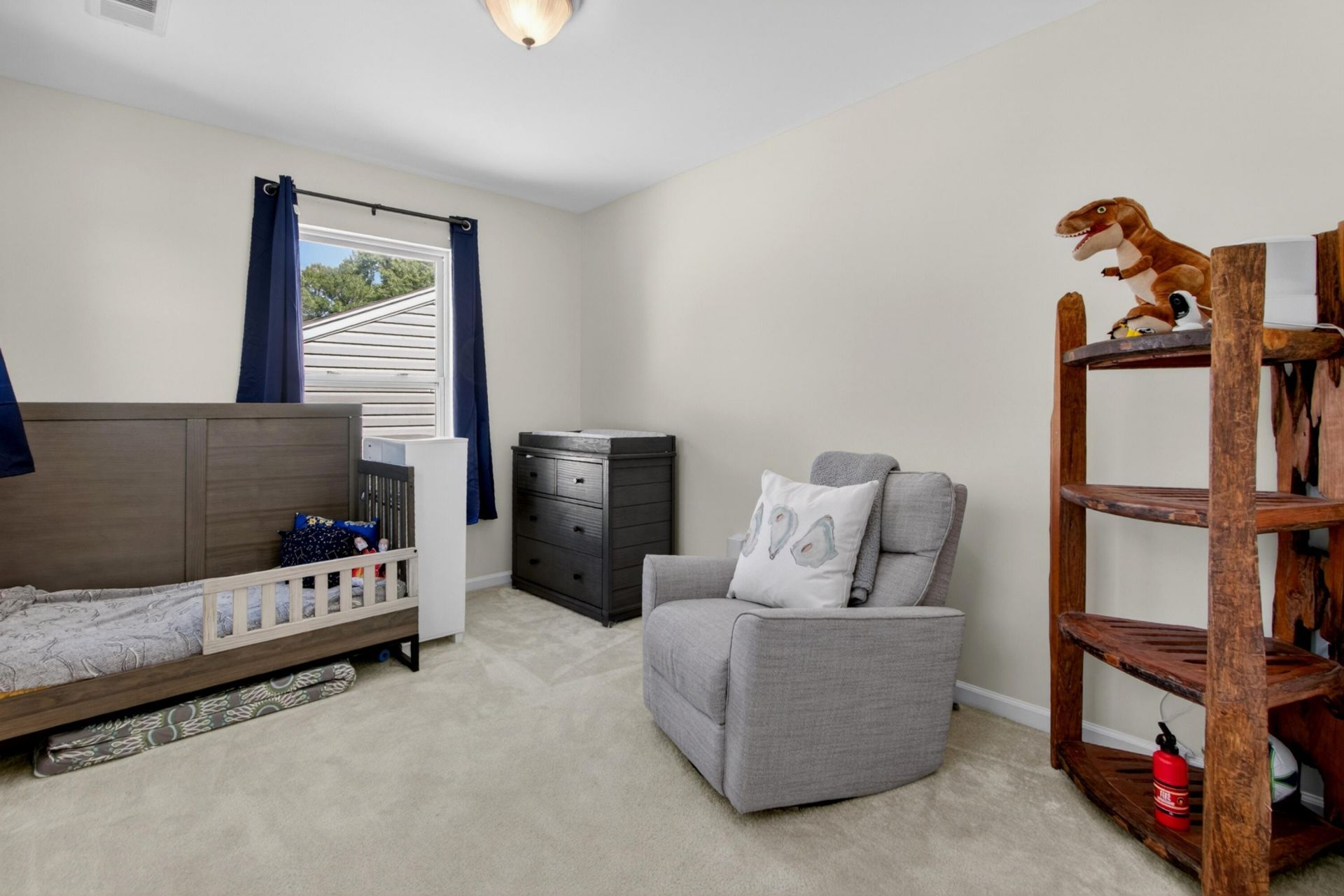 114 Coosawatchie Street Photo 18