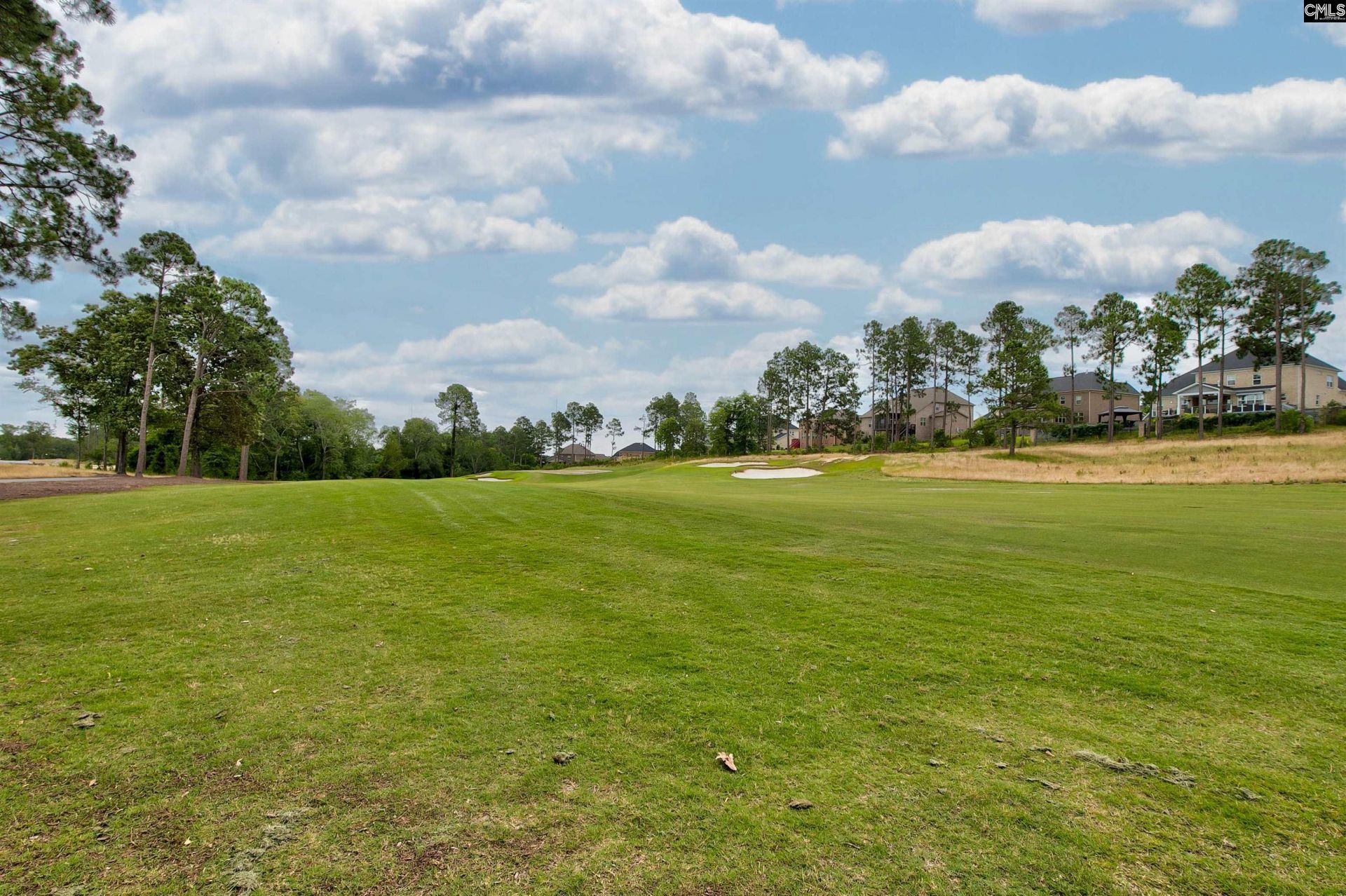 134 Backspin Drive  Photo 53