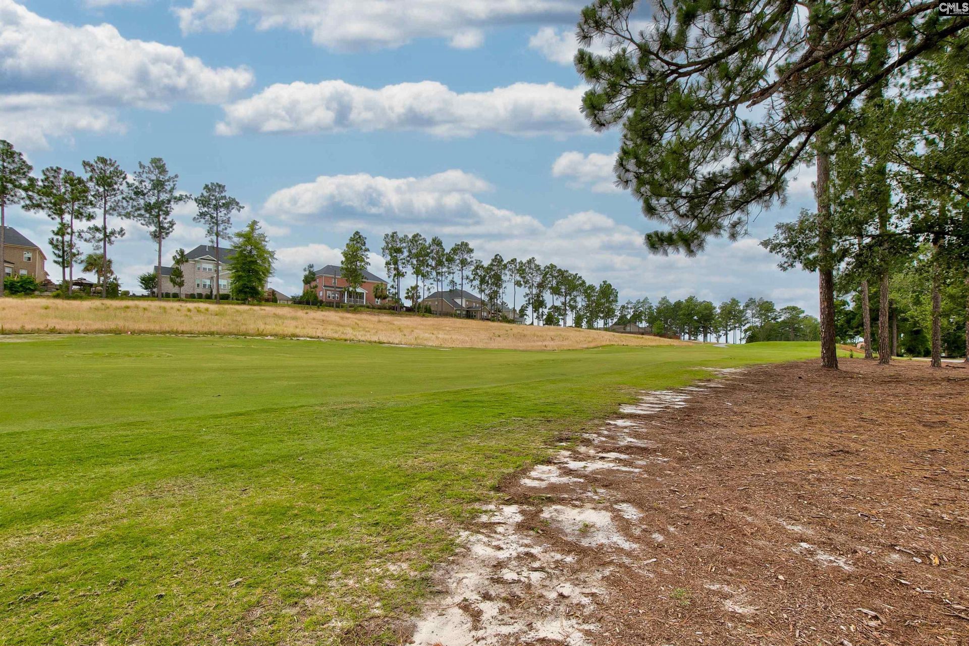 134 Backspin Drive  Photo 54