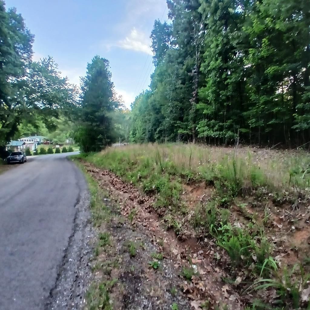 Tr'3 Raven Cliff Road, Talking Rock, GA 30175 Main Photo
