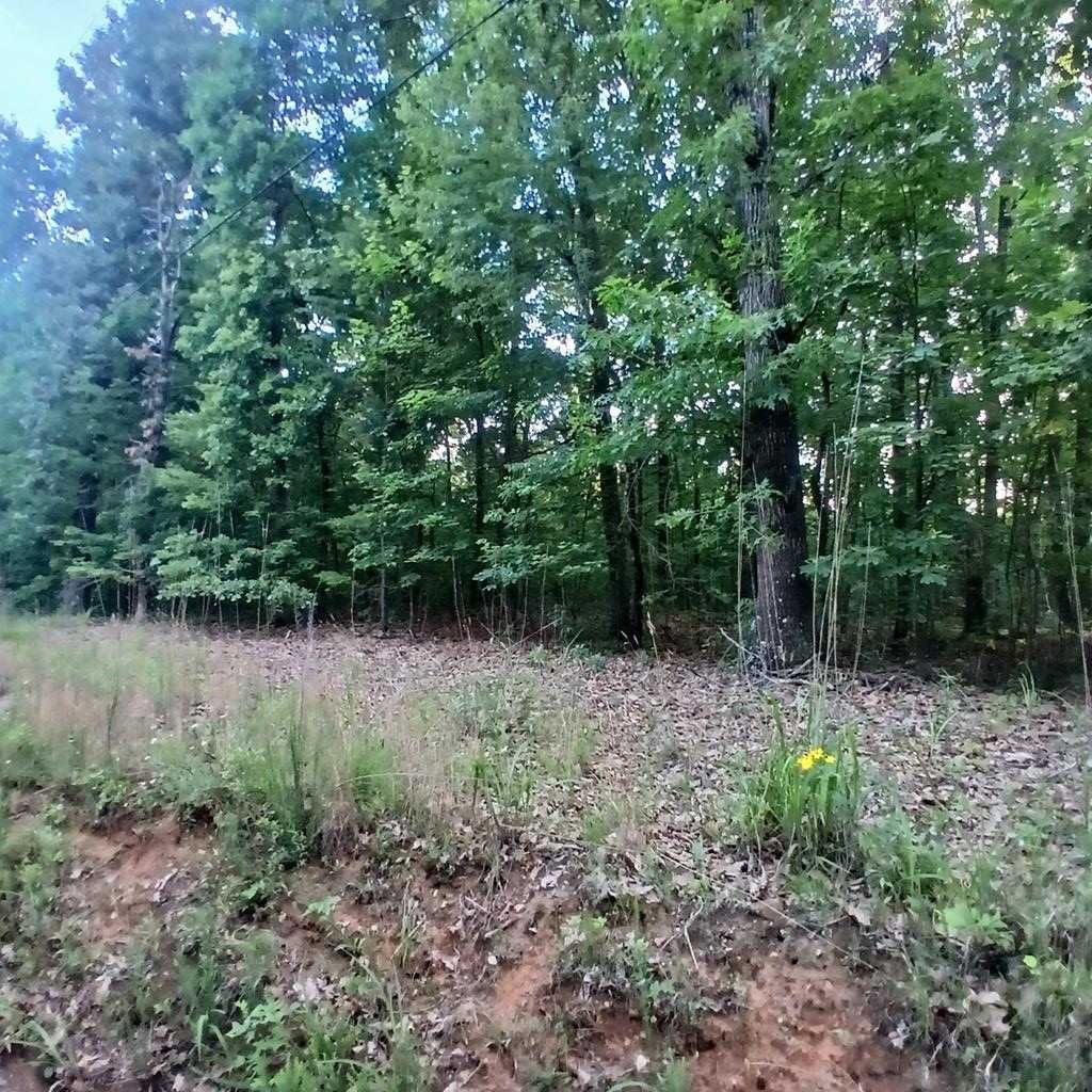 Tr. 2 Raven Cliff Road, Talking Rock, GA 30175 Main Photo