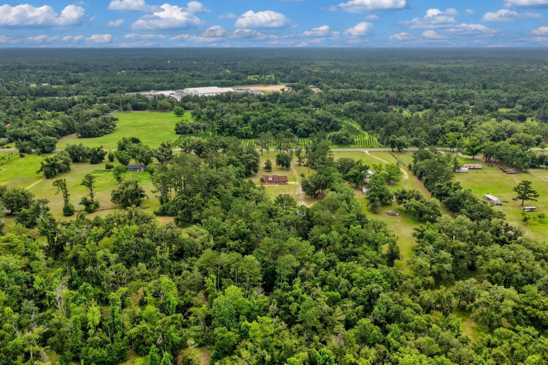3645 Slaughter Road, Perry, FL 32347 Photo