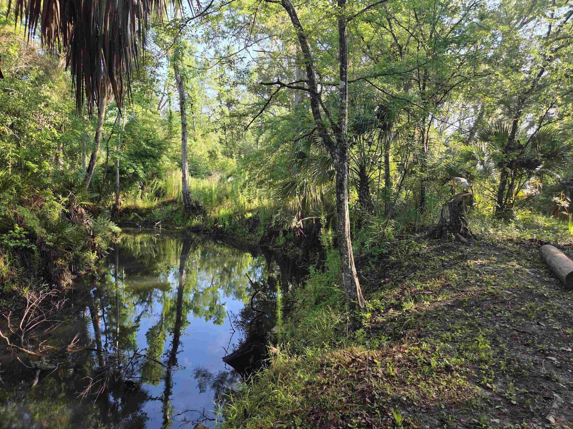 3645 Slaughter Road, Perry, FL 32347 Photo