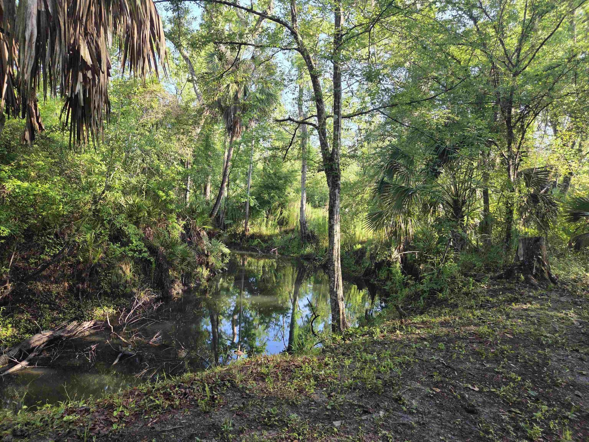 3645 Slaughter Road, Perry, FL 32347 Photo