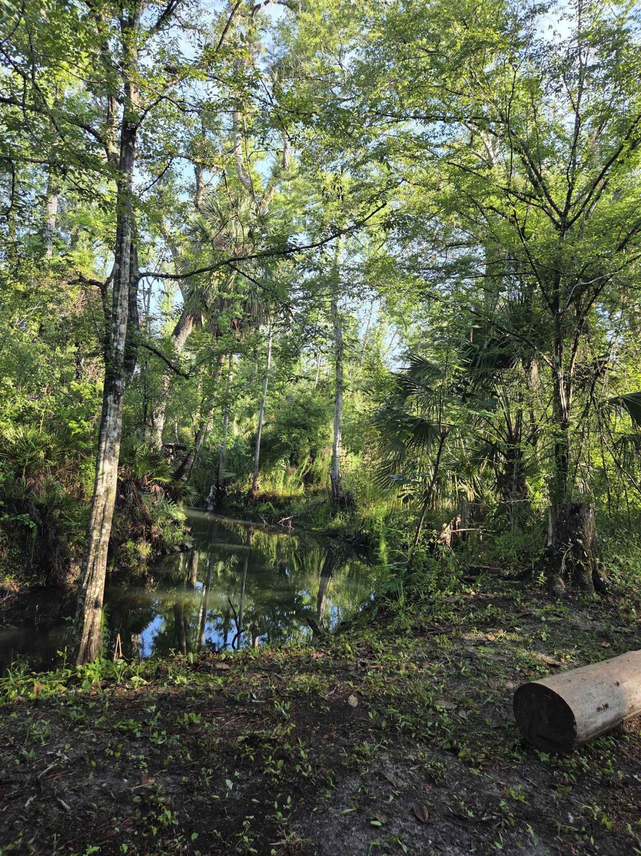 3645 Slaughter Road, Perry, FL 32347 Photo