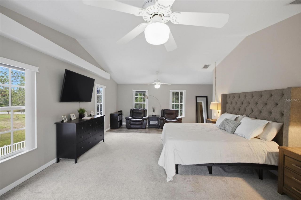 26347 Foamflower Boulevard, Wesley Chapel, FL 33544 Photo