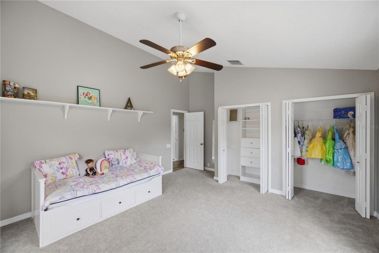 26347 Foamflower Boulevard, Wesley Chapel, FL 33544 Photo