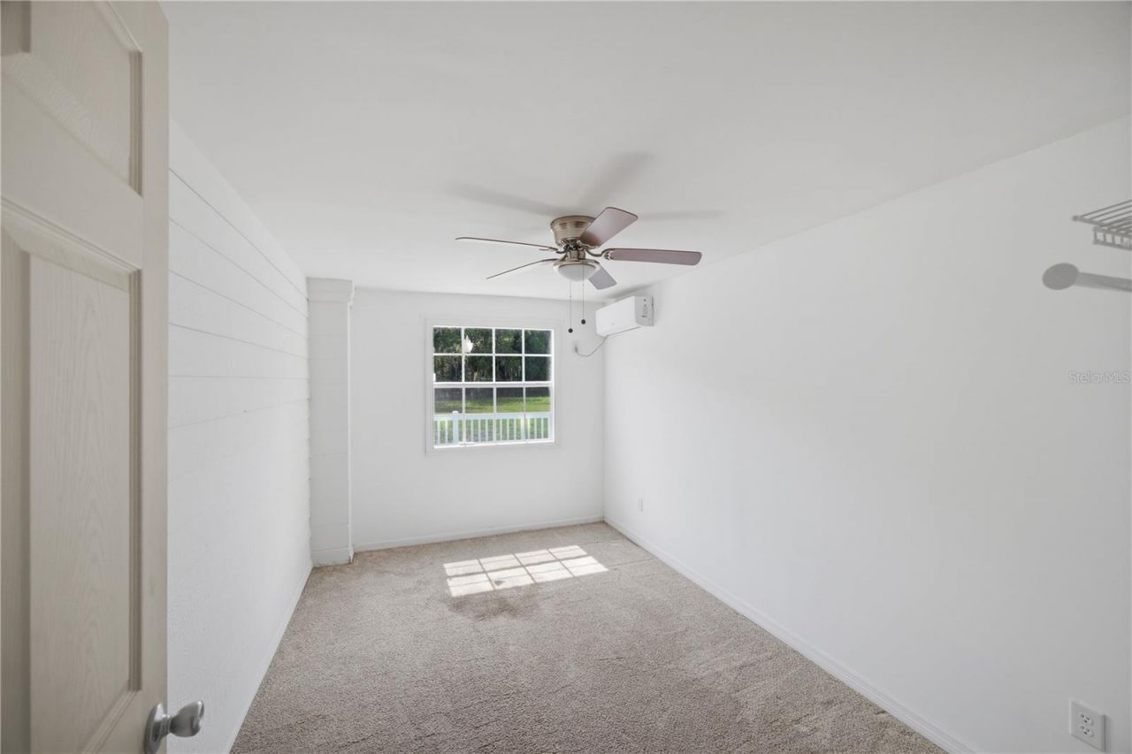 26347 Foamflower Boulevard, Wesley Chapel, FL 33544 Photo