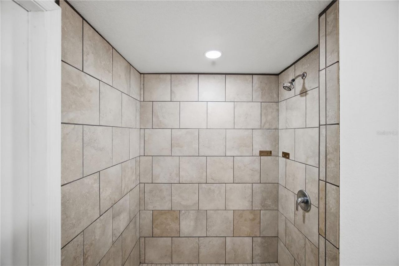 26347 Foamflower Boulevard, Wesley Chapel, FL 33544 Photo