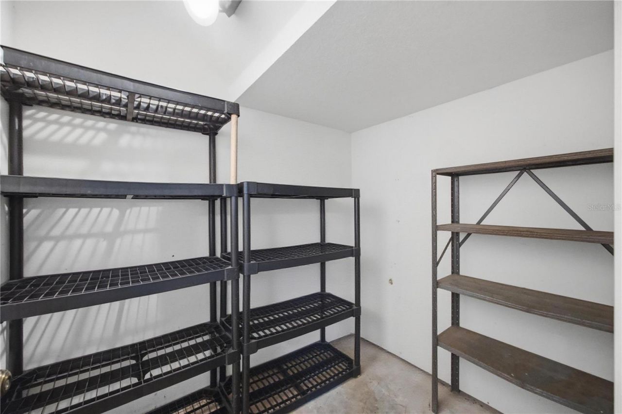 26347 Foamflower Boulevard, Wesley Chapel, FL 33544 Photo