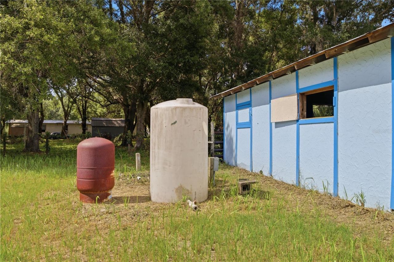 26347 Foamflower Boulevard, Wesley Chapel, FL 33544 Photo