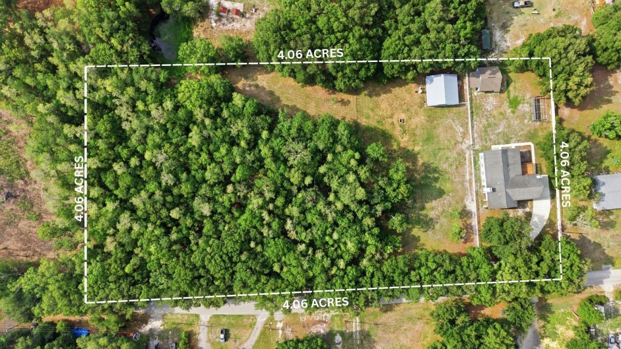 26347 Foamflower Boulevard, Wesley Chapel, FL 33544 Photo