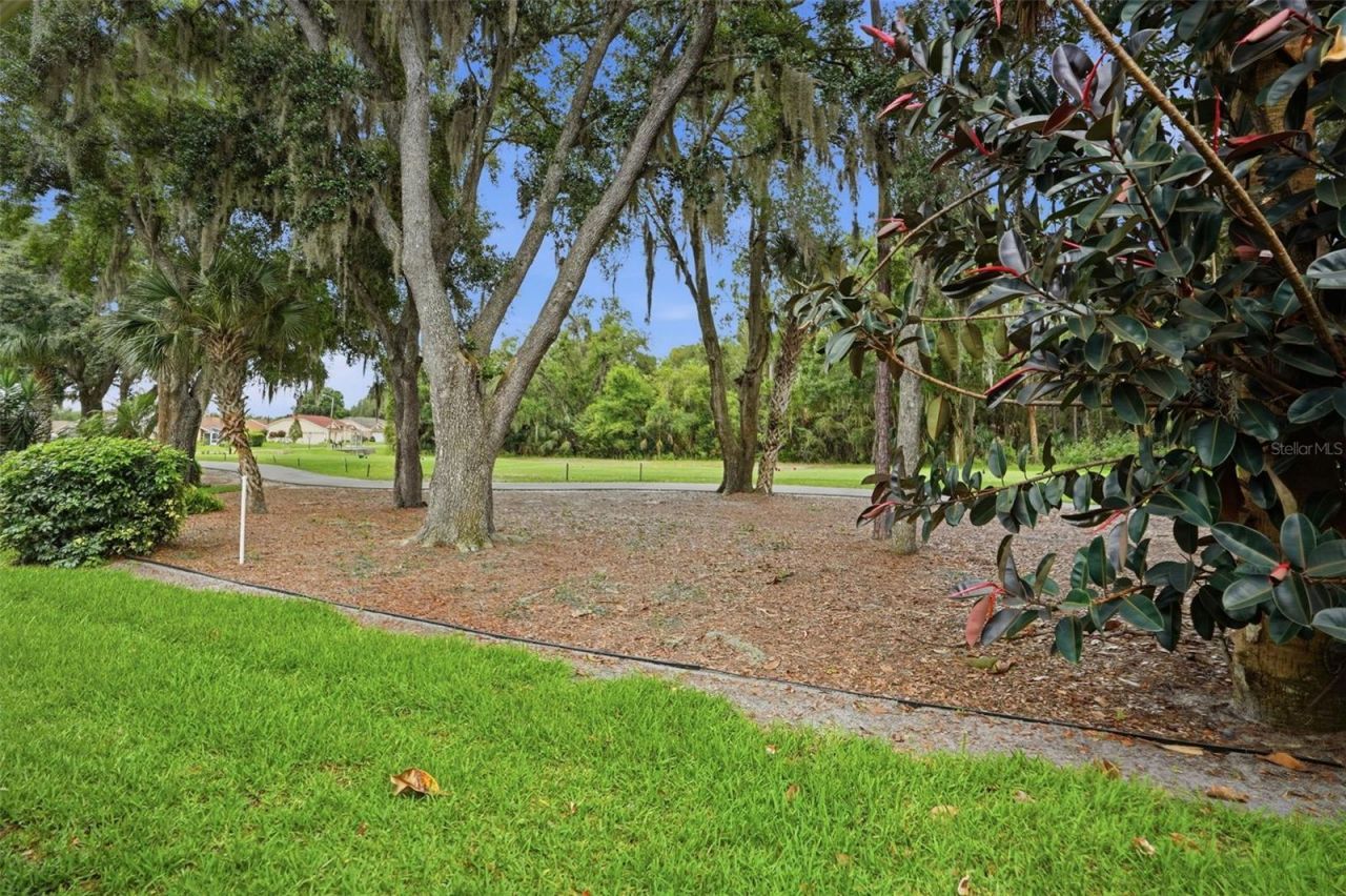 9215 Green Pines Terrace , New Port Richey, FL 34655 Photo