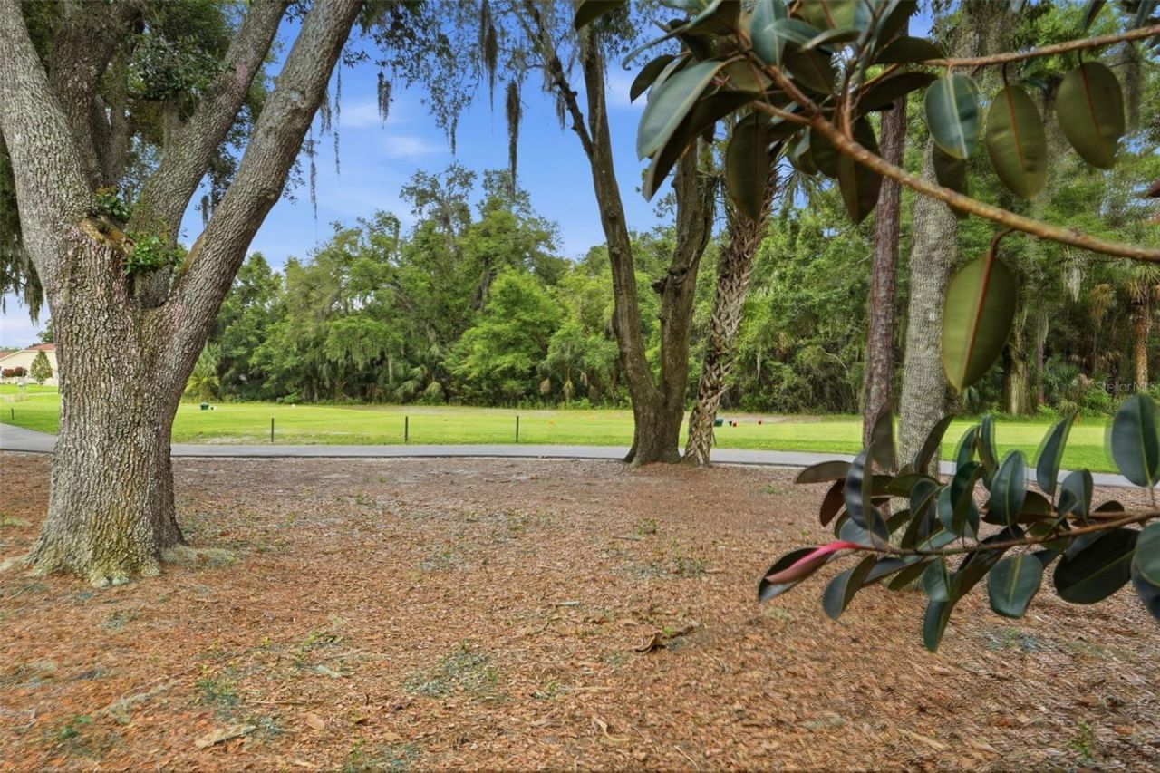 9215 Green Pines Terrace , New Port Richey, FL 34655 Photo