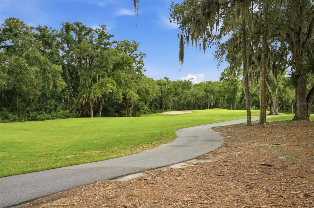 9215 Green Pines Terrace , New Port Richey, FL 34655 Photo