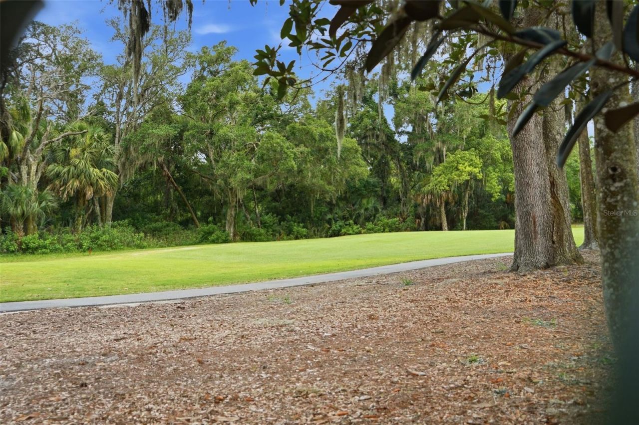 9215 Green Pines Terrace , New Port Richey, FL 34655 Photo