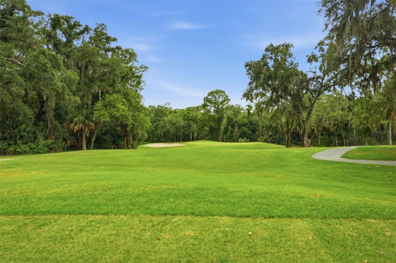 9215 Green Pines Terrace , New Port Richey, FL 34655 Photo