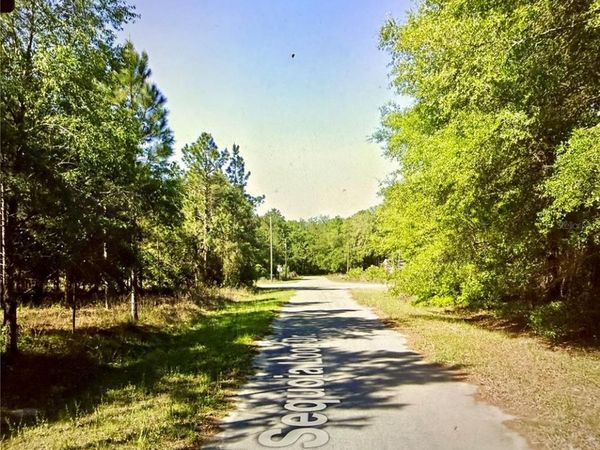 Lot 39 SE SEQUOIA LOOP DRIVE , OCKLAWAHA, FL 32179