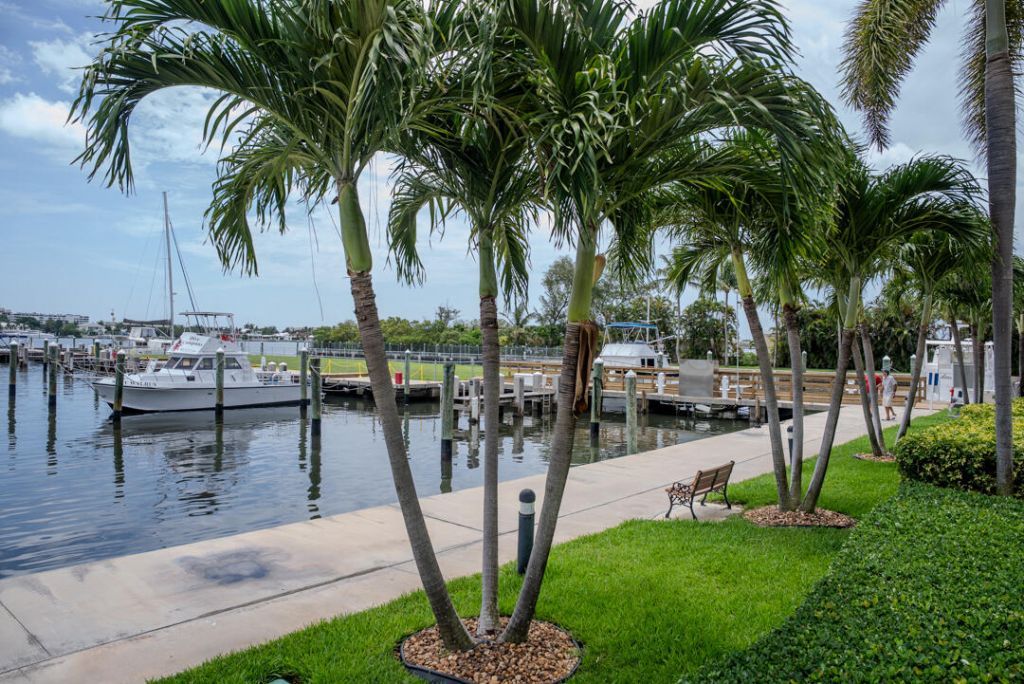 802 W Windward Way, Unit 217, Lantana, FL 33462 Photo